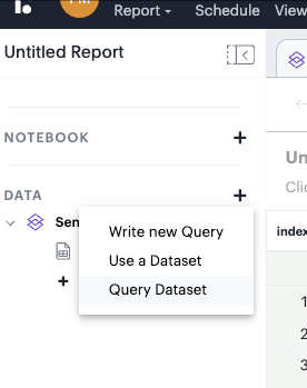 Click the *+* icon and select *Query Dataset*.