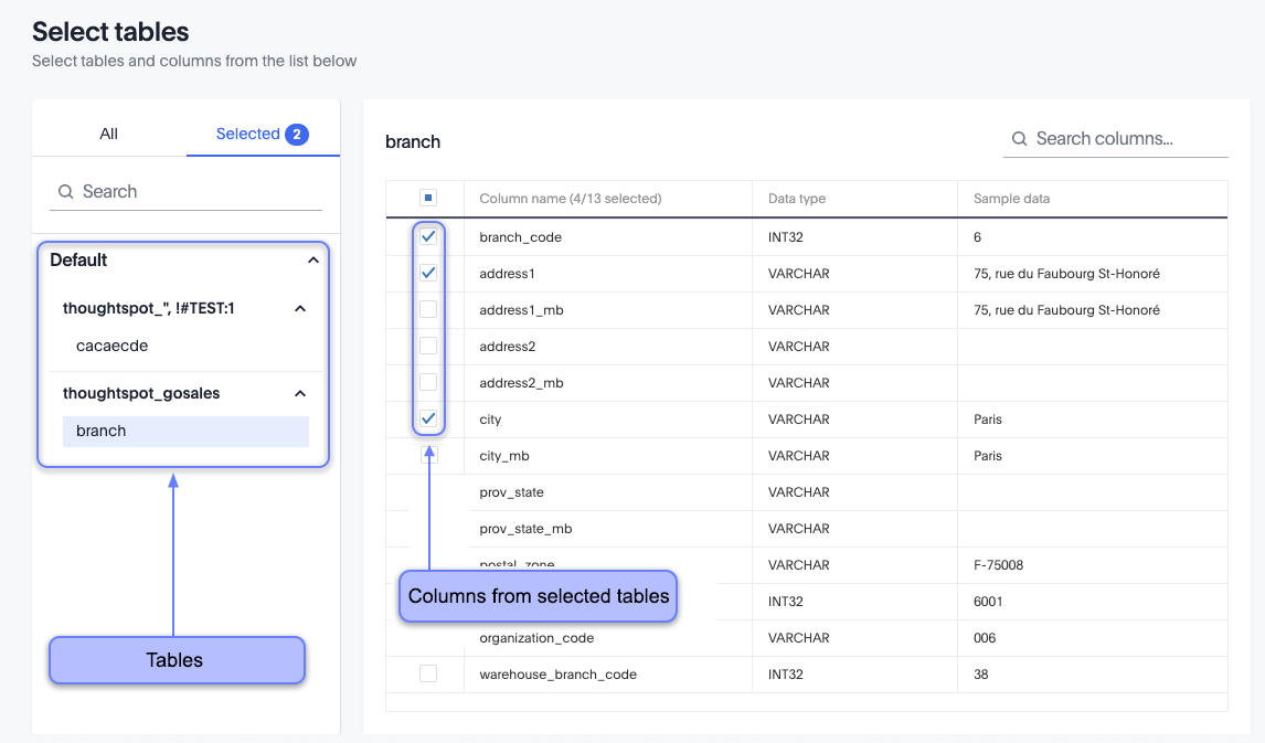 Select tables and columns for your connection