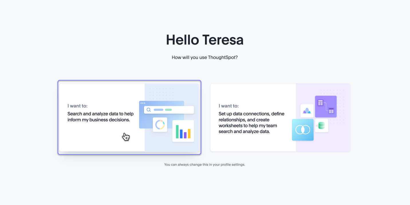 Business user or analyst screen