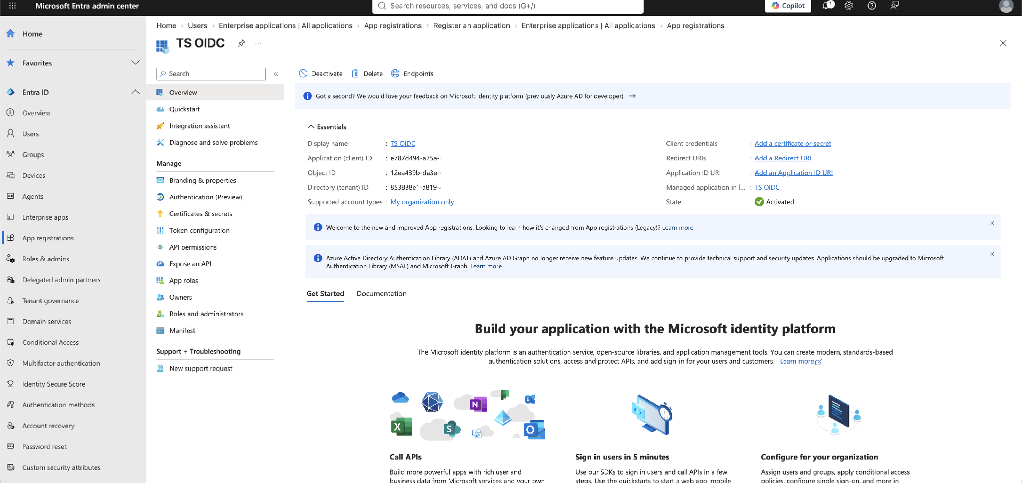Application Overview — Application (client) ID and Directory (tenant) ID
