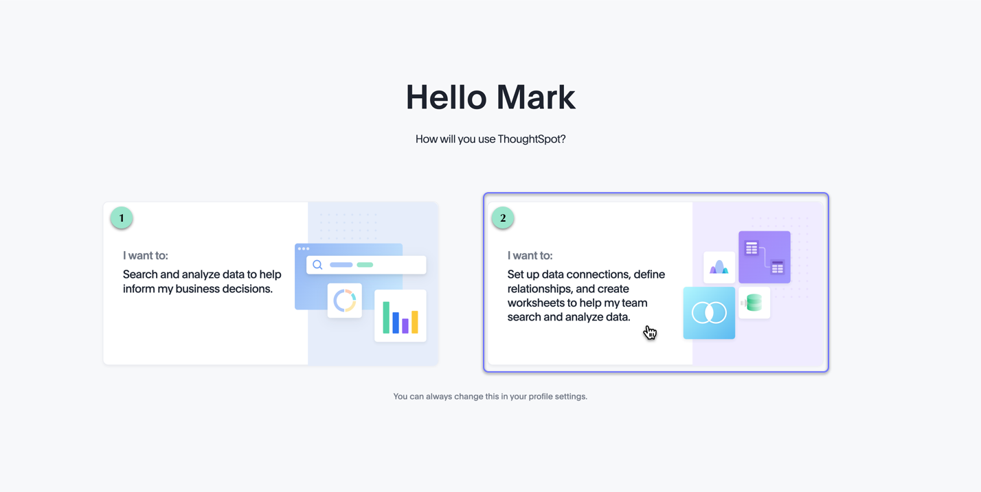 Business user or analyst screen