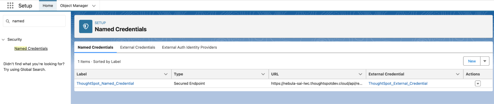 Salesforce Named Credentials page