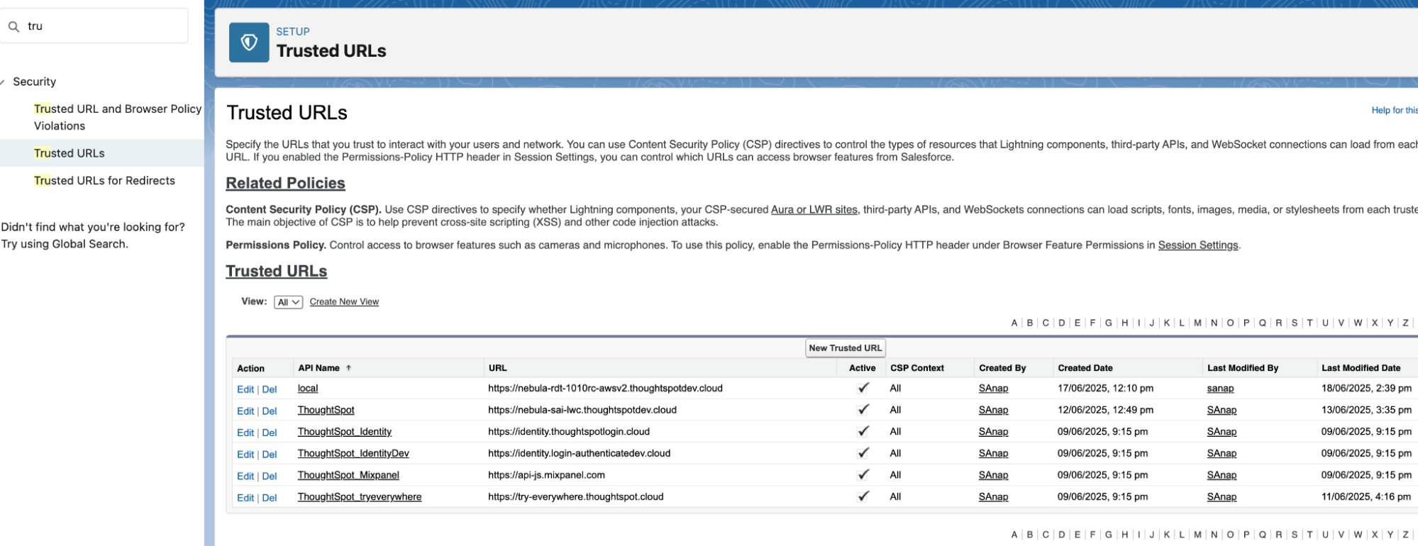 Salesforce Trusted URLs page