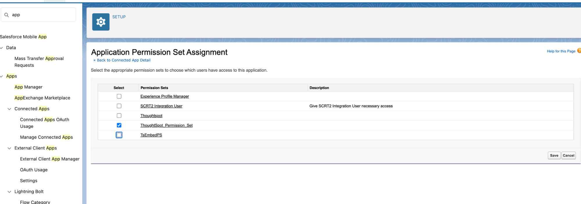 Application permission set assignment