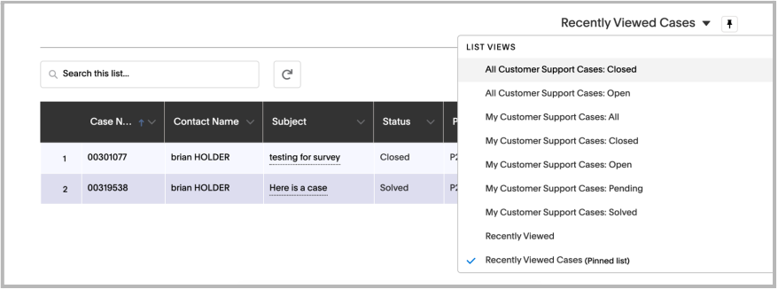 Recently Viewed Cases dropdown