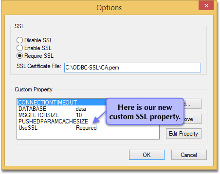 New custom SSL property